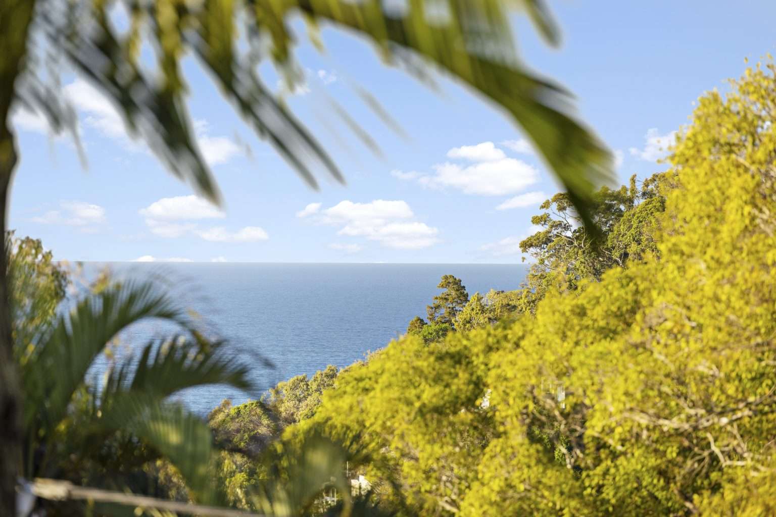 13/1 Picture Point Crescent, NOOSA HEADS  QLD  4567 - image #6